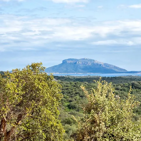 Διαμέρισμα Domus Cilla Pittulongu