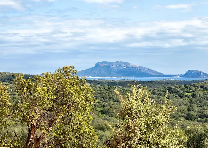 Apartamento Domus Cilla Pittulongu